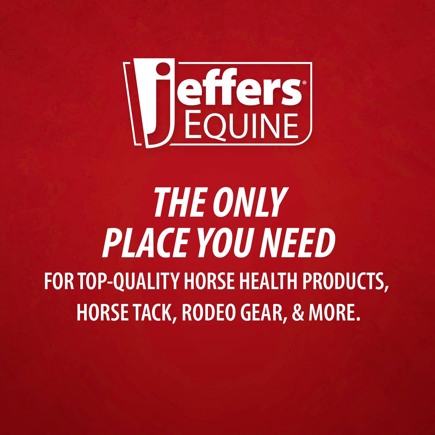 Jeffers Horse Fleece Halter Tube, 4 Piece Comfort Set